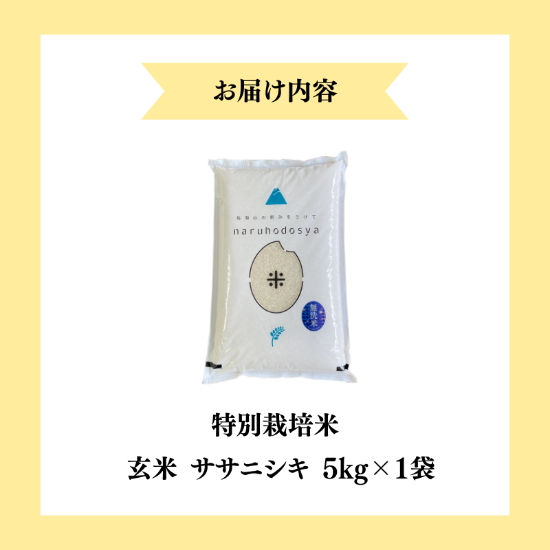 【令和7年産新米】栽培期間中 農薬・化学肥料不使用 【玄米】 特別栽培米ササニシキ5kg×1