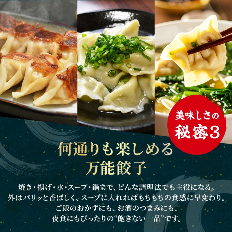 大刀洗 一口餃子 100個 特製たれ セット【ふるさと納税限定】 餃子