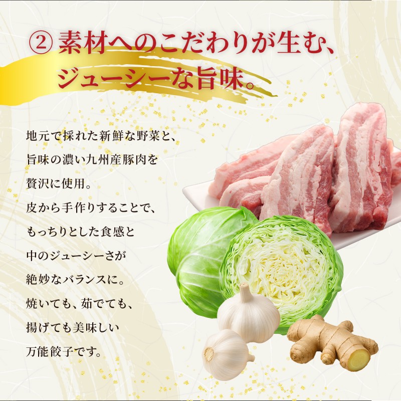 大刀洗 一口餃子 100個 特製たれ セット【ふるさと納税限定】 餃子