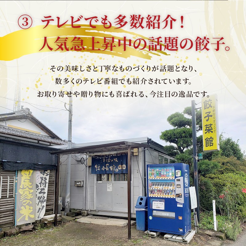 大刀洗 一口餃子 100個 特製たれ セット【ふるさと納税限定】 餃子