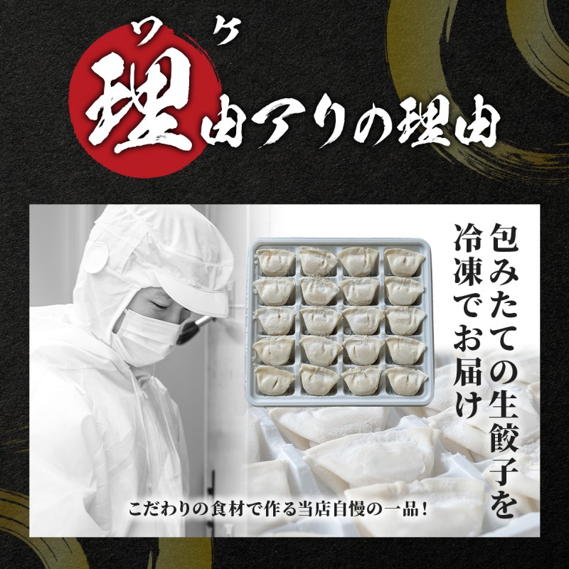 大刀洗 一口餃子 100個 特製たれ セット【ふるさと納税限定】 餃子
