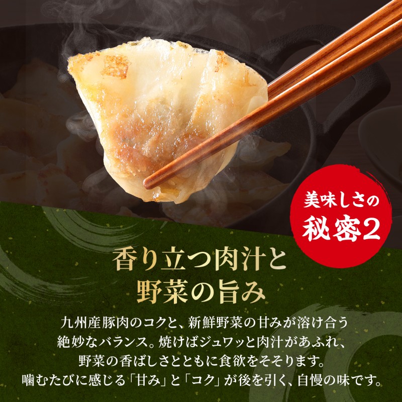 大刀洗 一口餃子 100個 特製たれ セット【ふるさと納税限定】 餃子
