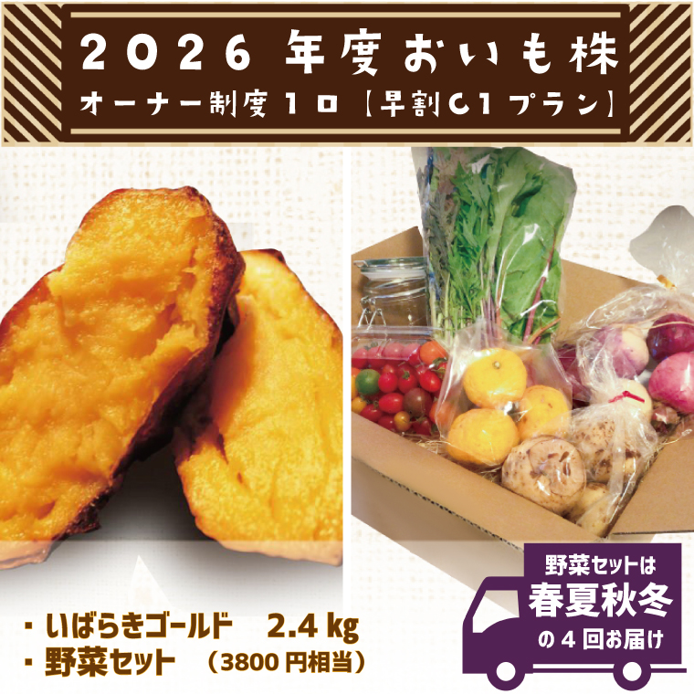 【早割C1プラン】2026年度おいも株オーナー制度 1口｜さつまいも 芋 サツマイモ お芋 おいも株 株 オーナー いばらきゴールド 野菜 野菜セット 定期便 らぽっぽファーム 体験 農園 茨城県 行方市(CQ-10-1)