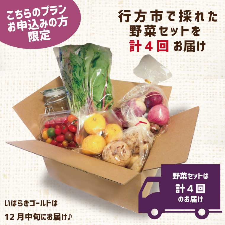 【早割C1プラン】2026年度おいも株オーナー制度 1口｜さつまいも 芋 サツマイモ お芋 おいも株 株 オーナー いばらきゴールド 野菜 野菜セット 定期便 らぽっぽファーム 体験 農園 茨城県 行方市(CQ-10-1)