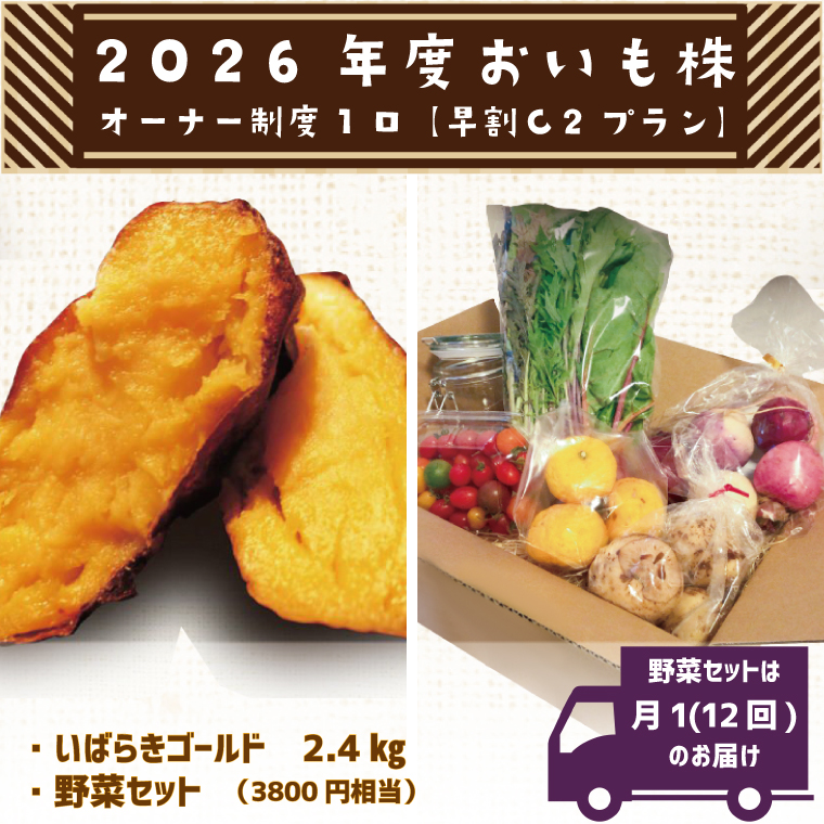 【早割C2プラン】2026年度おいも株オーナー制度 1口｜さつまいも 芋 サツマイモ お芋 おいも株 株 オーナー いばらきゴールド 野菜 野菜セット 定期便 らぽっぽファーム 体験 農園 茨城県 行方市(CQ-11-1)