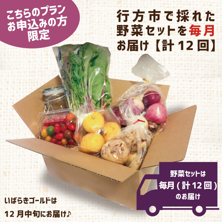 【早割C2プラン】2026年度おいも株オーナー制度 1口｜さつまいも 芋 サツマイモ お芋 おいも株 株 オーナー いばらきゴールド 野菜 野菜セット 定期便 らぽっぽファーム 体験 農園 茨城県 行方市(CQ-11-1)