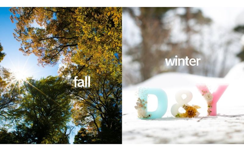 写真 小諸城址懐古園にてご案内と記念撮影60分 思い出 長野県 小諸市