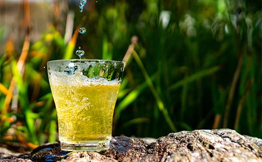 「人生にうま味を」天然素材だしドリップパック 30g（10g×3袋）かつお節 目近 あじ さば 煮干し 昆布 だし ダシ 出汁 調味料 海産物 食品 F6P-2942