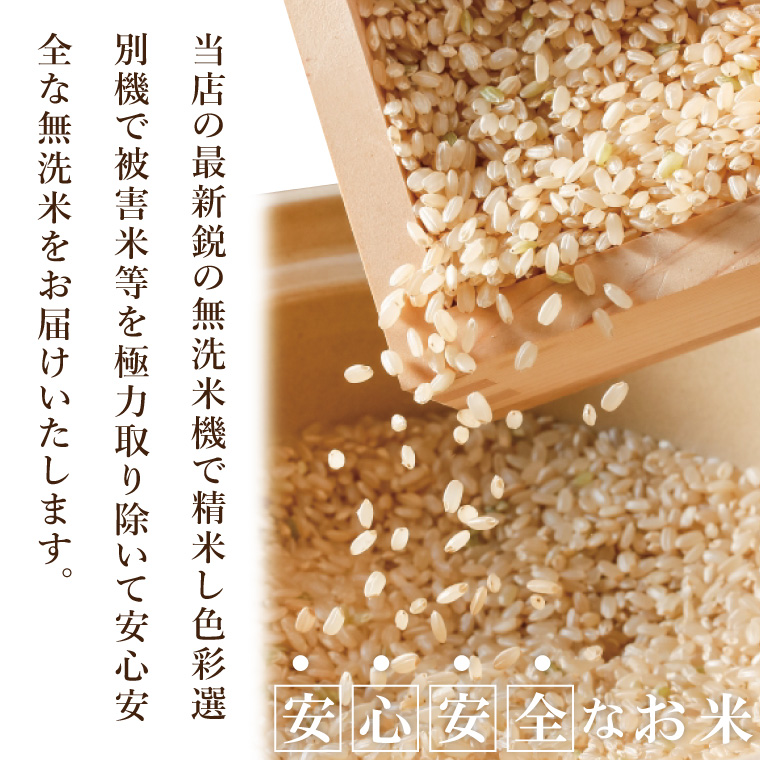 【数量限定】R6年産取手市産コシヒカリ 無洗米10kg（5kg×2袋）|お米 米 こしひかり コシヒカリ 白米 茨城県 取手市（BS010）