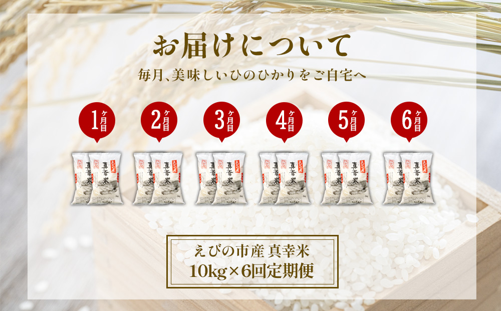 【定期便】限定品 えびの産 ヒノヒカリ 真幸米(まさきまい) 10kg×6ヶ月 60kg 米 定期便 コメ こめ 白米 ひのひかり おにぎり お弁当 冷めても美味しい