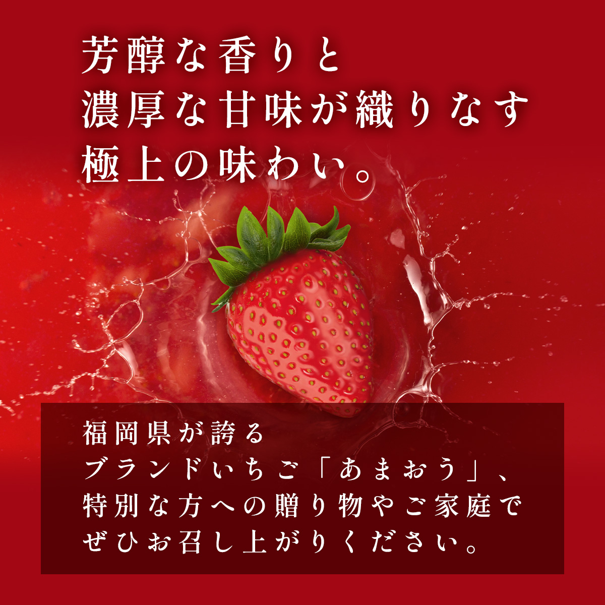 福岡県篠栗町のふるさと納税 【3月発送】福岡県産あまおう約250g×4パック