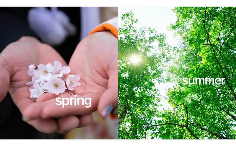 和装婚礼撮影90分（小諸城址懐古園にて）婚礼 着物レンタル 着付け 撮影