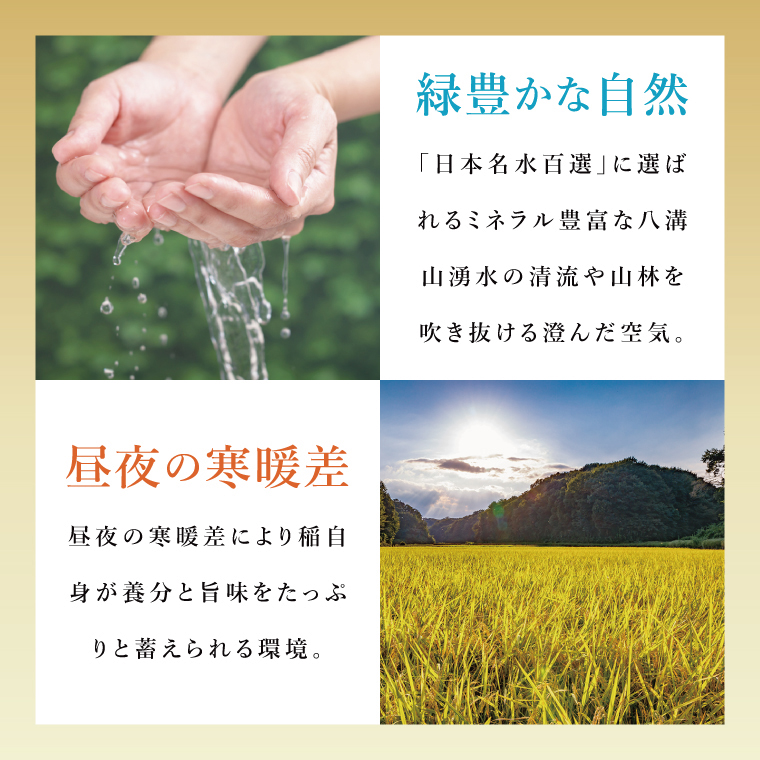 【6か月定期便】大子産米 コシヒカリ（精米）10kg×6回|茨城県 大子町 こしひかり 白米 新米 令和7年産 食味値 コンテスト（AV045）