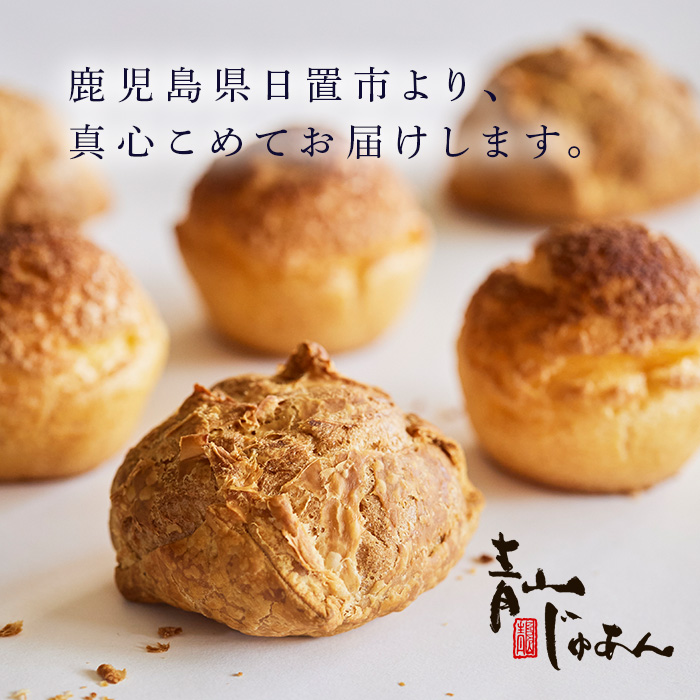 鹿児島県日置市のふるさと納税 No.1049-B 薩摩77万石溶岩サブレシュー＆パイシュー(12個入)【青山じゅあん】