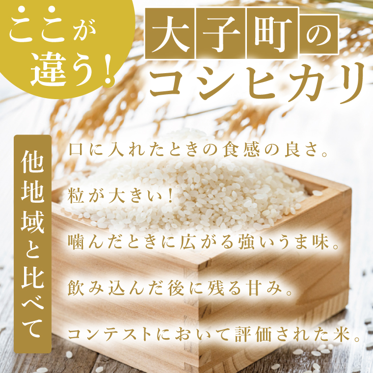 【6ヶ月定期便】大子産米 コシヒカリ（精米）2kg×6回|茨城県 大子町 こしひかり 白米 新米 令和7年産 食味値 コンテスト(AV039)