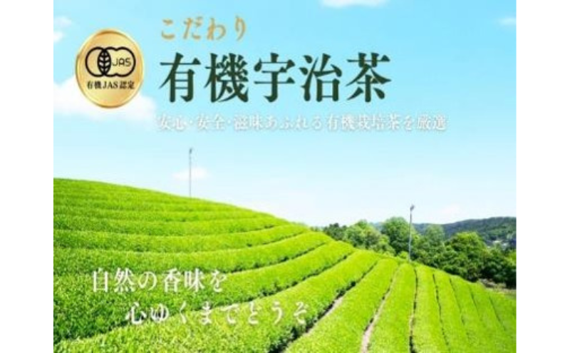 宇治・有機抹茶　30g缶入×2缶〈宇治抹茶 抹茶 有機 オーガニック 緑茶 お茶 飲料 宇治 石臼挽き 碾茶 濃厚