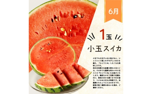 全3回 フルーツ定期便（すいか 6月、桃 7月、梨 8月発送） ｜ 和歌山県産 スイカ モモ ナシ 旬 果物