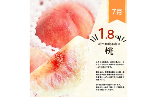 全2回 フルーツ定期便（桃 約1.8kg 7月、梨 約2kg 8月発送） ｜ 和歌山県産 モモ ナシ 旬 果物