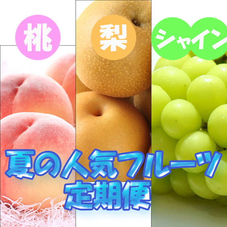フルーツ 定期便 全3回 【7月・8月・9月発送】 和歌山の夏の人気フルーツをお届け（桃・梨・シャインマスカット） ｜ 桃 葡萄 梨 和歌山県産 国産 果物 旬の果物 産地直送
