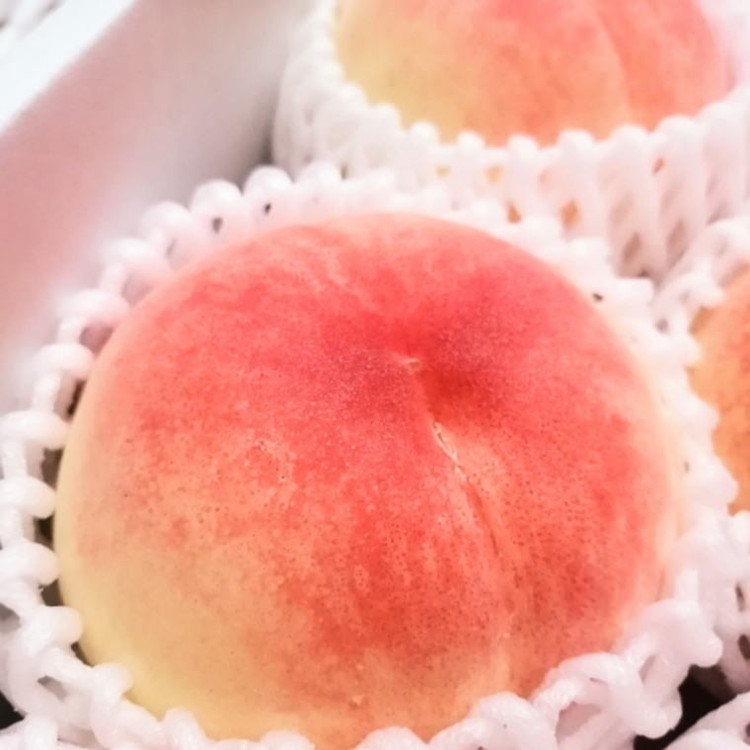 フルーツ 定期便 全3回 【7月・8月・9月発送】 和歌山の夏の人気フルーツをお届け（桃・梨・シャインマスカット） ｜ 桃 葡萄 梨 和歌山県産 国産 果物 旬の果物 産地直送