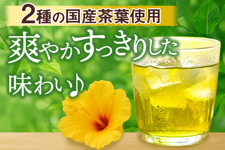琉球ビバレッジ　緑茶500ml×24本