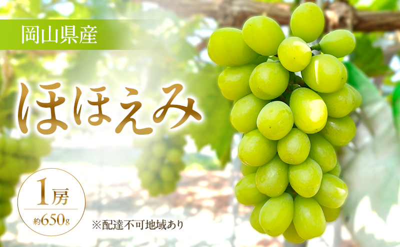 yRzy200zy2026Ns\z Ԃǂ RY 󏭕i قق 1[(650g) s2026N8{-9{oׁt  uhE t[c ʕ XC[c ʌ Ԍ R 