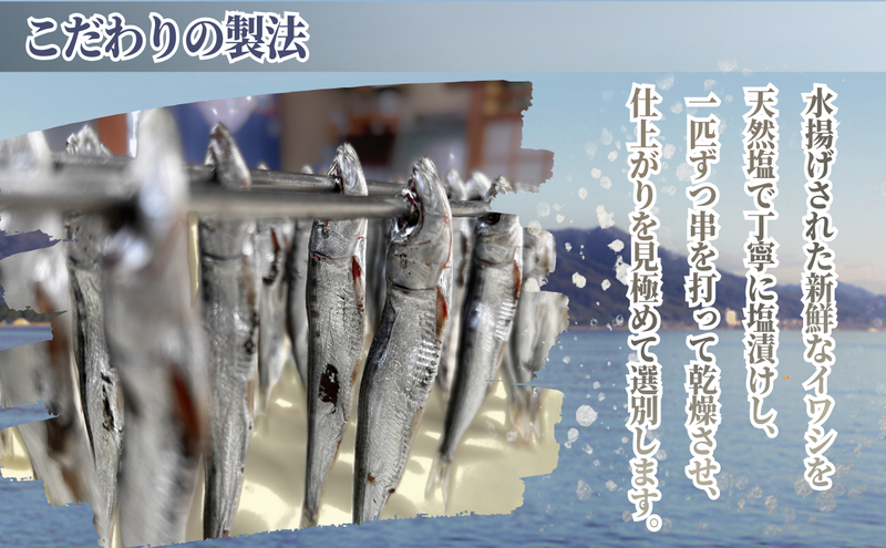 いわし　めざし　60g×5袋　マイワシ　ウルメイワシ | 鰯 真イワシ 魚 魚介 水産 網焼き 炭火焼 おつまみ 酒の肴 ご飯のお供 京都 宮津市
