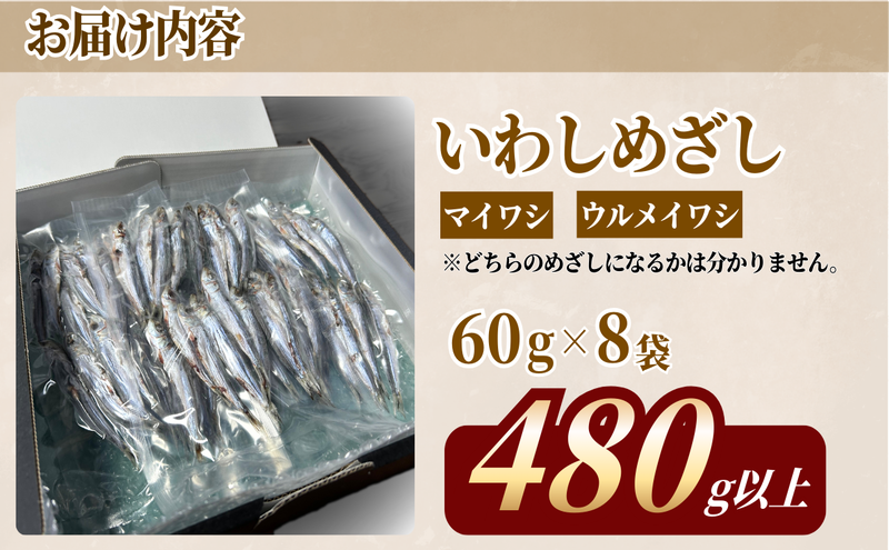 いわし　めざし　60g×8袋　マイワシ　ウルメイワシ | 鰯 真イワシ 魚 魚介 水産 網焼き 炭火焼 おつまみ 酒の肴 ご飯のお供 京都 宮津市