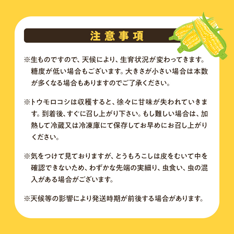 【来年度受付予約：2026年6月より発送】とうもろこし 農家直送！SDGs米糠堆肥で作った環境に優しいメロンより甘い 博多あまっコーン ご家庭用 カット品 4.5キロ以上 (12～20本) /酒見農産/トウモロコシ ※配送不可：離島