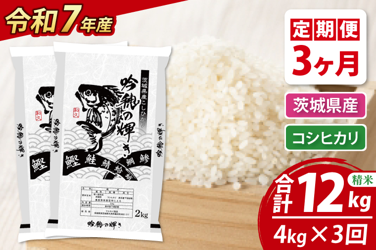 y錧zy3ցz ߘaVNY V RVqJ 4kgi2kg×2܁j × 3  Ђ  ͂ R   Y 錧Y