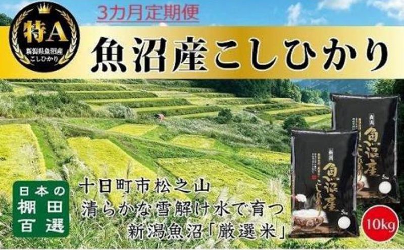 令和7年産米】魚沼産こしひかり 棚田米(十日町地域) 精米 2kg 1月配送