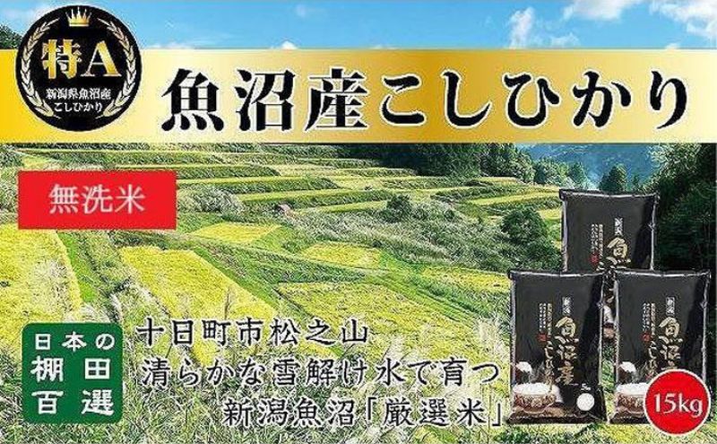 令和8年産 先行予約】 無洗米 9カ月 定期便 日本棚田百選のお米 天空の