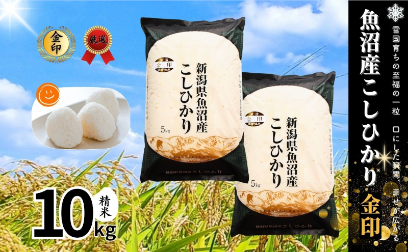 令和7年産】魚沼産コシヒカリ金印(精米)10kg 米 お米 こしひかり 精米