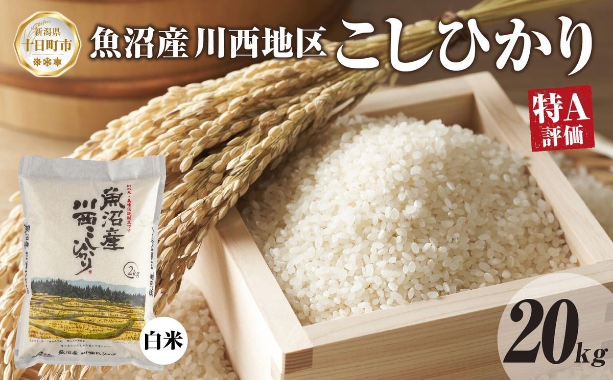 令和8年産 先行予約】9カ月 定期便 日本棚田百選のお米 天空の里 魚沼