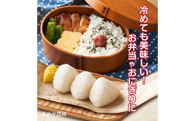 魚沼産 コシヒカリ 5kg 精米 新潟県産 こしひかり お米 コメ こめ