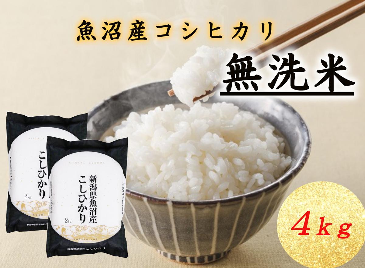 T-04【令和7年産】魚沼産コシヒカリ 無洗米 4kg 米 コメ こしひかり 