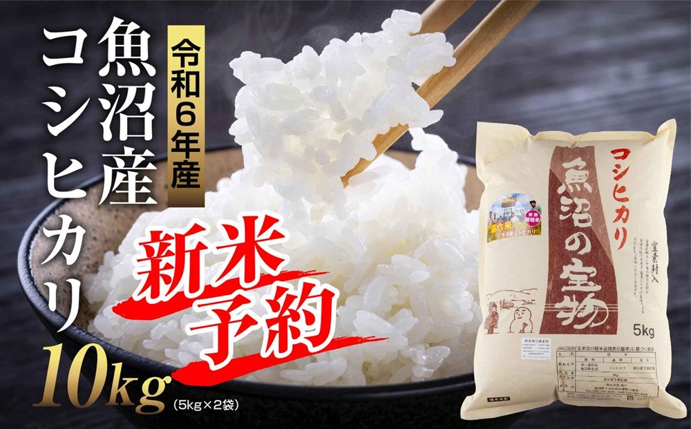 食品 新米10kg 令和6年魚沼産コシヒカリ白米