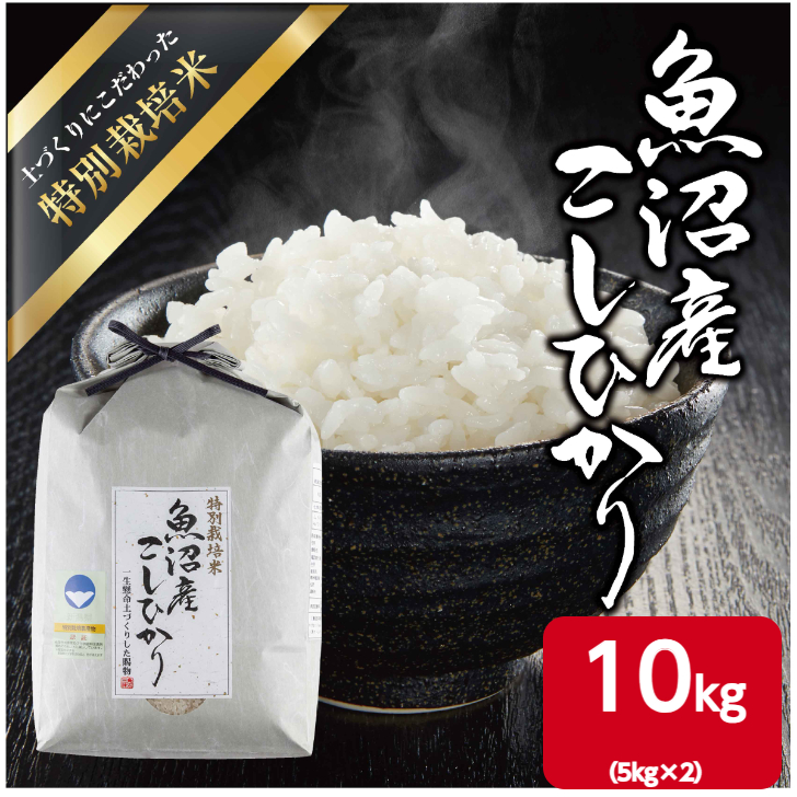魚沼産コシヒカリ 令和7年産 白米 10キロ 米農家直送 送料無料②