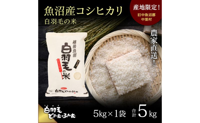 令和7年産米】魚沼産こしひかり 棚田米(十日町地域) 精米 2kg 1月配送