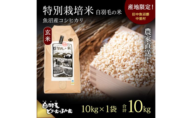 通年受付】≪令和7年産≫ 農家直送！魚沼産コシヒカリ特別栽培「白羽毛 