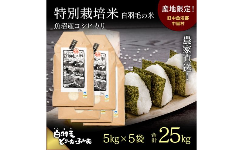 食品 農家直送 栃木県産 コシヒカリ 20キロ