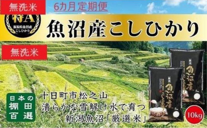 令和8年産 先行予約】 無洗米 9カ月 定期便 日本棚田百選のお米 天空の