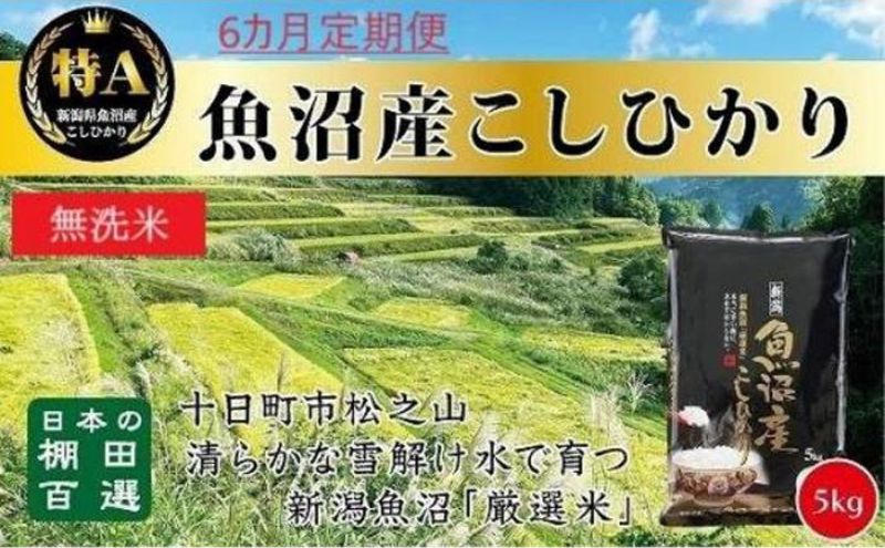 令和8年産 先行予約】9カ月 定期便 日本棚田百選のお米 天空の里 魚沼