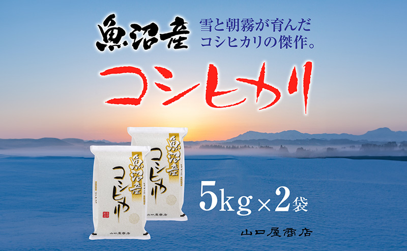 厳選☆十日町育ち】魚沼産コシヒカリ 5kg×2袋 お米 米 コメ | とおか 