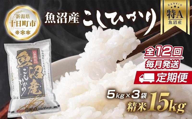 定期便】新潟県 魚沼産 コシヒカリ お米 15kg×計12回 精米済み 年間 