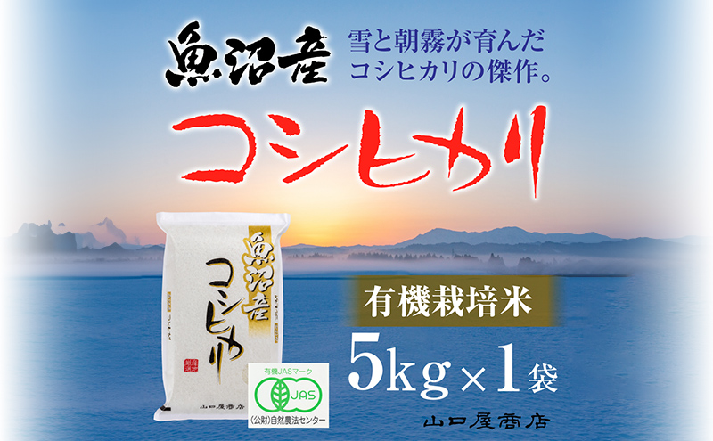 十日町の清らかな雪解け水で育ったコシヒカリの極み「魚沼コシヒカリ