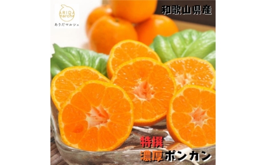 【特選】濃厚 ポンカン 2kg ｜ みかん 蜜柑 柑橘 果物 フルーツ くだもの 果実 国産 和歌山県 晩柑