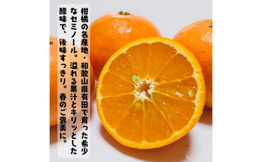 【特撰】セミノール 1kg ｜ みかん 高級 くだもの 晩柑 柑橘 和歌山
