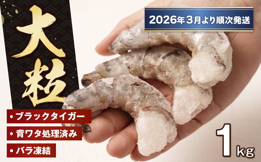 至福の大粒むきえび　背ワタ処理済 1kg【2026年3月より順次発送】　ブラックタイガー 冷凍 ムキエビ  大型 海老