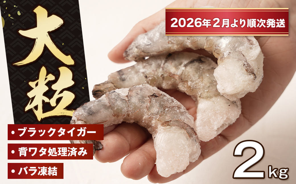 至福の大粒むきえび　背ワタ処理済 2kg（1kg×2袋）【2026年2月より順次発送】　ブラックタイガー 冷凍 ムキエビ  大型 海老